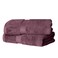 SUPERIOR Egyptian Cotton Plush Absorbent Bath Towel Set of 2