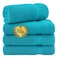 Cotton Paradise 4 Piece Turkish Bath Towels for Bathroom 100 Cotton Extra Large Soft Plush Towels Bathroom Set Aqua Blue