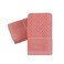 YiLUOMO Pink Hand Towel Set of 2 Soft 100 Cotton Towels Striped Pattern Ultra Absorbent Decorative Hand Towel for Bathroom 13 x 29 Inch