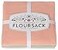 Now Designs Floursack Kitchen Towels Quick Dry Cotton Hand Towel Set 3 Count DawnEucalyptusMist 20 x 30 in