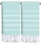 cabanana Hand Towels for Bathroom 2Pack20x30 Inch100 CottonTurkish Bathroom Hand TowelsSuper Absorbent QuickDry Soft for Bath Kitchen Spa Face Hair Dishcloth Aqua