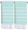 cabanana Hand Towels for Bathroom 2Pack20x30 Inch100 CottonTurkish Bathroom Hand TowelsSuper Absorbent QuickDry Soft for Bath Kitchen Spa Face Hair Dishcloth Aqua