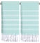 cabanana Hand Towels for Bathroom 2Pack20x30 Inch100 CottonTurkish Bathroom Hand TowelsSuper Absorbent QuickDry Soft for Bath Kitchen Spa Face Hair Dishcloth Aqua