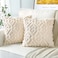 Artscope Pack of 2 Soft Plush Short Wool Velvet Decorative Throw Pillow Covers Luxury Style Cushion Covers European Pillow Shell for Sofa Bedroom Diamond Shape Cream Beige 22x22 Inch