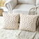 Artscope Pack of 2 Soft Plush Short Wool Velvet Decorative Throw Pillow Covers Luxury Style Cushion Covers European Pillow Shell for Sofa Bedroom Diamond Shape Cream Beige 22x22 Inch