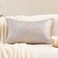 Avigers 12 x 20 Inch Rectangle Silver Gray Gold Abstract Striped Embroidery Cushion Case Luxury Modern Throw Pillow Cover Decorative Pillow for Couch Living Room Bedroom Car