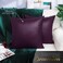 BRAWARM Faux Leather Throw Pillow Covers 20 X 20 Inches Purple Leather Pilow Covers Pack of 2 Solid Dyed Leather Pillowcases for Couch Bed Sofa Garden Home Decorative