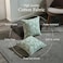 CPC COTTON CPC 100 Cotton Throw Pillow Covers 20x20 Inch Set of 2 Green Block Print Pattern Couch Pillow Cute Boho Decorative Pillows for Living Room Bedroom with Hidden Zipper Olive Green