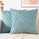 decorUhome Summer Couch Throw Pillow Covers 18x18 Set of 2 Decorative Soft Plush Faux Fur Wool Accent Pillow Covers for Modern Farmhouse Bed Sofa Living Room Light Teal