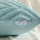 decorUhome Summer Couch Throw Pillow Covers 18x18 Set of 2 Decorative Soft Plush Faux Fur Wool Accent Pillow Covers for Modern Farmhouse Bed Sofa Living Room Light Teal