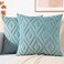 decorUhome Summer Couch Throw Pillow Covers 18x18 Set of 2 Decorative Soft Plush Faux Fur Wool Accent Pillow Covers for Modern Farmhouse Bed Sofa Living Room Light Teal