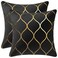 DEZENE 20x20 Inch Gold Velvet Throw Pillow Covers 2 Pack Square Decorative Pillow Cases for Bedroom Sofa Couch Living Room Black
