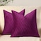 DEZENE 20x20 Purple Throw Pillow Cases 2 Pack Original Striped Velvet Square Decorative Pillow Covers for Farmhouse Couch