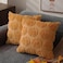 DFXSZ Fall Pillow Covers 20x20 Set of 2 Fall Decorations Light Orange Pumpkin Throw Pillow Cases Soft Plush Faux Fur Wool Couch Cushion Case for Chair Sofa Bedroom Living Room Home Decor PTK012D20