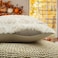 GEEORY Fall Pillow Covers 18 x 18 Inch Set of 2 Fall Decorations Pumpkins Soft Plush Fluffy Faux Fur Wool Decorative Autumn Thanksgiving Farmhouse Cushion Case for Sofa Beige GC00218