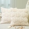 GEEORY Fall Pumpkins Soft Plush Pillow Covers 18 x 18 Inch Set of 2 Fluffy Faux Fur Wool Decorative Farmhouse Cushion Case for Sofa Home Decoration Beige Pumpkin GC02018