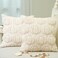 GEEORY Fall Pumpkins Soft Plush Pillow Covers 18 x 18 Inch Set of 2 Fluffy Faux Fur Wool Decorative Farmhouse Cushion Case for Sofa Home Decoration Beige Pumpkin GC02018