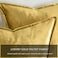 GIGIZAZA Gold Velvet Decorative Throw Pillow Covers 24x24 Square Couch Sofa Pillow Covers Pack of 2