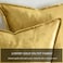 GIGIZAZA Gold Velvet Decorative Throw Pillow Covers 24x24 Square Couch Sofa Pillow Covers Pack of 2