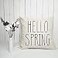 GTEXT Set of 4 Easter Decor Happy Easter Pillow Covers 18 x 18 Inches Spring Decor Easter Bunny Pillow Chusion Covers