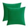 Jeneoo Set of 2 Comfy Soft Velvet Christmas Throw Pillow Cases for Sofa Couch Decorative Solid Square Cushion Covers for Bedroom Car 18 x 18 Inches Bright Green