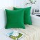Jeneoo Set of 2 Comfy Soft Velvet Christmas Throw Pillow Cases for Sofa Couch Decorative Solid Square Cushion Covers for Bedroom Car 18 x 18 Inches Bright Green