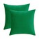 Jeneoo Set of 2 Comfy Soft Velvet Christmas Throw Pillow Cases for Sofa Couch Decorative Solid Square Cushion Covers for Bedroom Car 18 x 18 Inches Bright Green