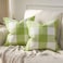 Phantoscope Pack of 2 Gingham Buffalo Check Plaid Throw Decorative Pillow Cover Outdoor Indoor Throw Pillows Farmhouse Square Pillow Cases for Home Decor Green18 x 18 Inches