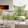 Phantoscope Pack of 2 Gingham Buffalo Check Plaid Throw Decorative Pillow Cover Outdoor Indoor Throw Pillows Farmhouse Square Pillow Cases for Home Decor Green18 x 18 Inches