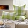 Phantoscope Pack of 2 Gingham Buffalo Check Plaid Throw Decorative Pillow Cover Outdoor Indoor Throw Pillows Farmhouse Square Pillow Cases for Home Decor Green18 x 18 Inches