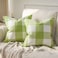 Phantoscope Pack of 2 Gingham Buffalo Check Plaid Throw Decorative Pillow Cover Outdoor Indoor Throw Pillows Farmhouse Square Pillow Cases for Home Decor Green18 x 18 Inches