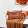 RABUSOFA Fall Pillow Covers 12x20 InchRust Autumn Hello Pumpkin Pillows Decorative Throw PillowsLumbar Outdoor Thanksgiving Cushion Cover Farmhosue Fall Decor for Bedroom Couch Sofa