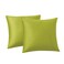 RainRoad Bright Green Throw Pillows Covers Set of 2 Soft Velvet Decorative Pillow Covers 20x20 Inch for Couch Bed Bright Green 20 x 20Pack of 2