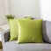 RainRoad Bright Green Throw Pillows Covers Set of 2 Soft Velvet Decorative Pillow Covers 20x20 Inch for Couch Bed Bright Green 20 x 20Pack of 2