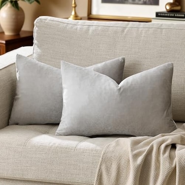 GIGIZAZA Silver Grey Velvet Decorative Throw Pillow Covers for Sofa Bed 2 Pack Soft Cushion Cover