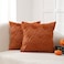 VAKADO Fall Throw Pillow Covers 18x18 Set of 2 Thanksgiving Pumpkin Couch Halloween Decor Bed Rust Autumn Kitchen Farmhouse Decorative Plush Embroidered Velvet Square Cushion Cases Home for Sofa