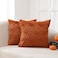 VAKADO Fall Throw Pillow Covers 18x18 Set of 2 Thanksgiving Pumpkin Couch Halloween Decor Bed Rust Autumn Kitchen Farmhouse Decorative Plush Embroidered Velvet Square Cushion Cases Home for Sofa
