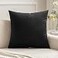 MIULEE Velvet Pillow Cover Soft Luxury Decorative Throw Pillow Cover Eruo Sham Single Rectangle Cushion Case for Couch Sofa Bedroom Car Decor26x26 Inch Black