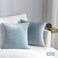 Stellhome Pack of 2 Cozy Velvet Pillow Covers Square Decorative Cushion Covers for Bed Couch Sofa Bench 22 x 22 inch 55 x 55 cm Silver Blue