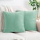 HWY 50 Aqua Green Velvet Throw Pillow Covers 18x18 Inch Pack of 2 Soft Cozy Solid Decorative Luxury Cushion Cases for Couch Sofa Bed Living Room Bedroom