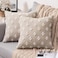 MIULEE Set of 2 Decorative Throw Pillow Covers Rhombic Jacquard Pillowcase Eruo Sham Large Spring Soft Square Cushion Case for Couch Sofa Bed Bedroom Living Room 24x24 Inch Beige