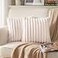 DEELAND Pack of 2DoubleSided Faux Fur Plush Decorative Throw Pillow Covers Fuzzy Striped Soft Pillowcase Cushion Covers for Sofa Couch Bedroom Beige 20x20 inch