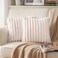 DEELAND Pack of 2DoubleSided Faux Fur Plush Decorative Throw Pillow Covers Fuzzy Striped Soft Pillowcase Cushion Covers for Sofa Couch Bedroom Beige 20x20 inch