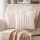 DEELAND Pack of 2DoubleSided Faux Fur Plush Decorative Throw Pillow Covers Fuzzy Striped Soft Pillowcase Cushion Covers for Sofa Couch Bedroom Beige 20x20 inch