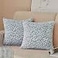 FY FIBER HOUSE Leopard Print Pillow Cover Flannel Fleece Throw Pillow Cases Covers for Couch Bed Sofa Set of 2 16 x 16 Inch Blue