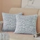 FY FIBER HOUSE Leopard Print Pillow Cover Flannel Fleece Throw Pillow Cases Covers for Couch Bed Sofa Set of 2 16 x 16 Inch Blue