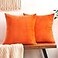 GriNeed Fall Orange Throw Pillow Covers Decorative Velvet Set of 2 18x18 Inch Pillow Covers Soft Burnt Orange Pillowcases for Couch Sofa Bed Living Room Farmhouse Boho Decor Accent Cushion Covers