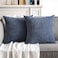 MIULEE Pack of 2 Blue Decorative Pillow Covers 22x22 Inch Soft Chenille Couch Throw Pillows Farmhouse Cushion Covers for Home Decor Sofa Bedroom Living Room