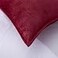 Zhiyuan Warm Fleece Body Pillow Cover Only Long Pillowcase 175 x 47 Inch Wine