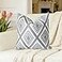 Slow Cow Embroidery Throw Pillow Cover Decorative Cushion Cover 18x18 Inch Gray